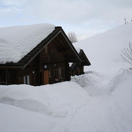Ferienwohnungen Im Blockhaus Metzler Schwarzenberg im Bregenzerwald Dış mekan fotoğraf