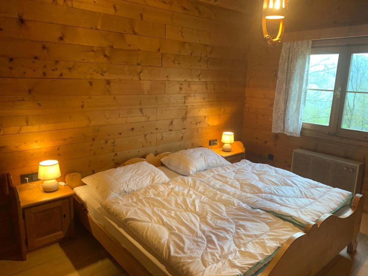 Ferienwohnungen Im Blockhaus Metzler Schwarzenberg im Bregenzerwald Dış mekan fotoğraf