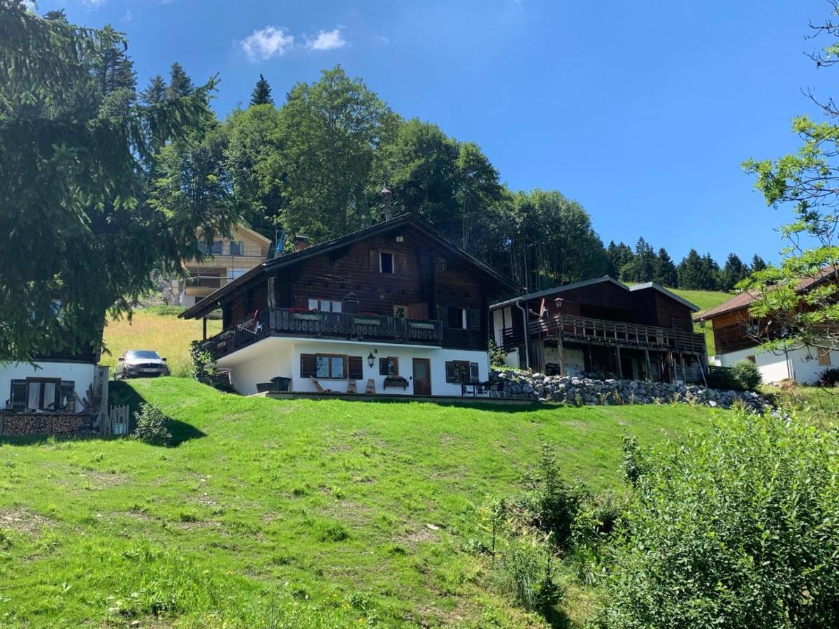 Ferienwohnungen Im Blockhaus Metzler Schwarzenberg im Bregenzerwald Dış mekan fotoğraf