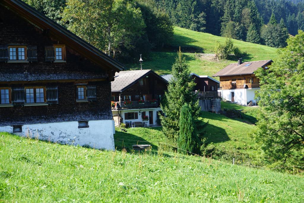Ferienwohnungen Im Blockhaus Metzler Schwarzenberg im Bregenzerwald Dış mekan fotoğraf
