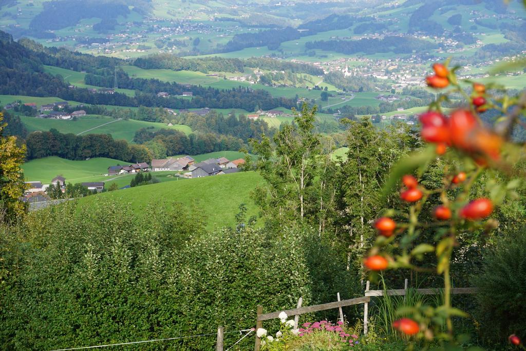 Ferienwohnungen Im Blockhaus Metzler Schwarzenberg im Bregenzerwald Dış mekan fotoğraf
