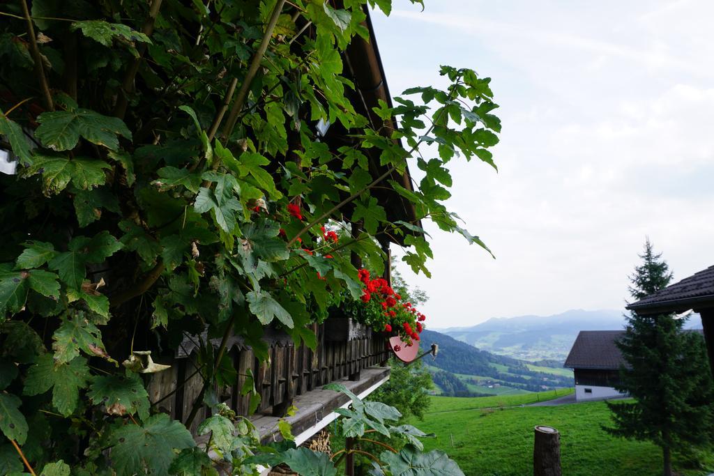 Ferienwohnungen Im Blockhaus Metzler Schwarzenberg im Bregenzerwald Dış mekan fotoğraf
