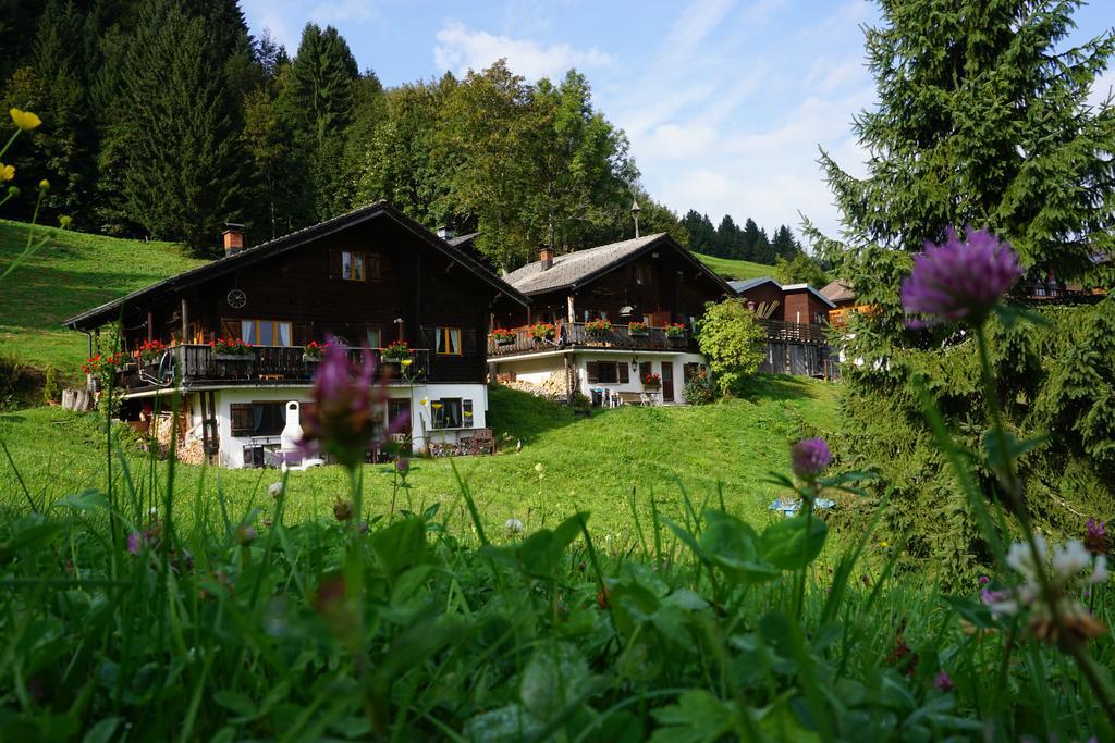 Ferienwohnungen Im Blockhaus Metzler Schwarzenberg im Bregenzerwald Dış mekan fotoğraf